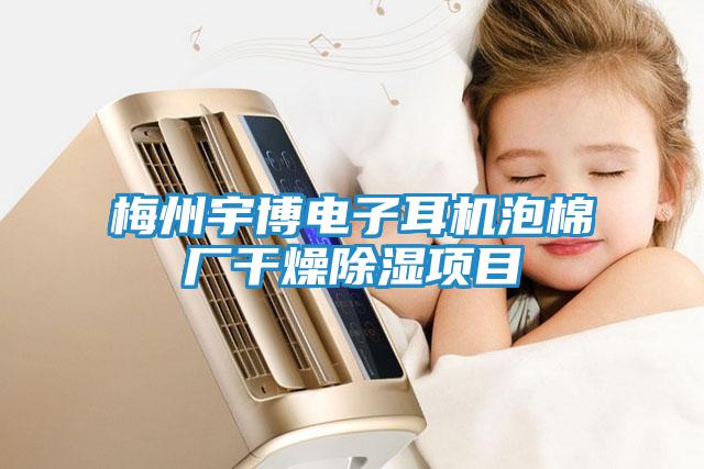 梅州宇博電子耳機(jī)泡棉廠干燥除濕項(xiàng)目