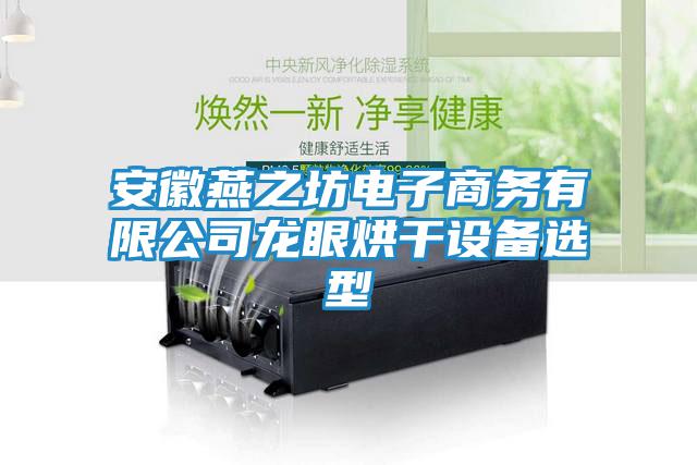 安徽燕之坊電子商務(wù)有限公司龍眼烘干設(shè)備選型