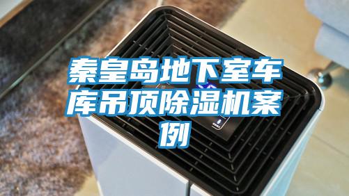 秦皇島地下室車庫吊頂除濕機(jī)案例