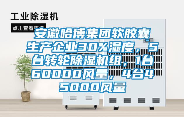 安徽哈博集團軟膠囊生產企業30%濕度，5臺轉輪除濕機組，1臺60000風量，4臺45000風量