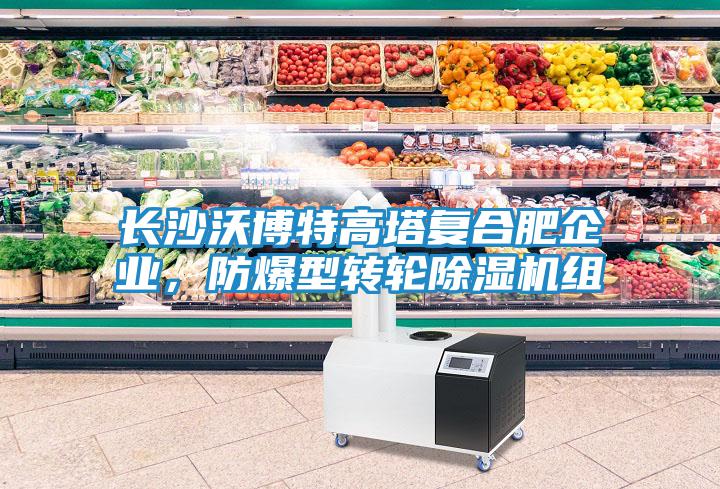 長沙沃博特高塔復(fù)合肥企業(yè)，防爆型轉(zhuǎn)輪除濕機(jī)組