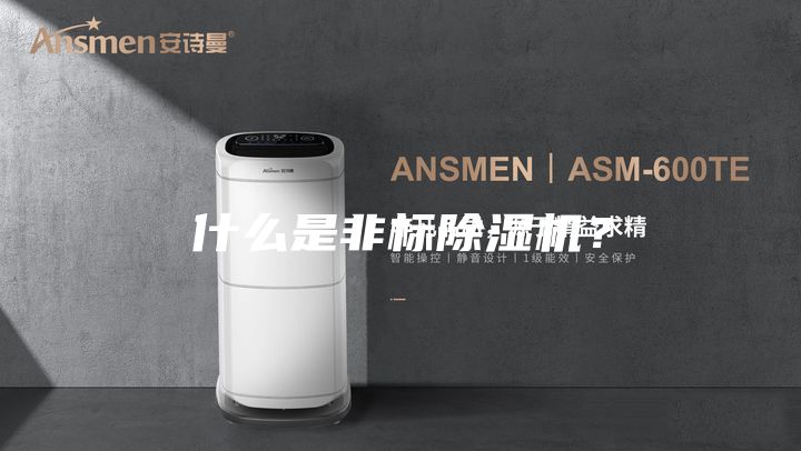 什么是非標除濕機？