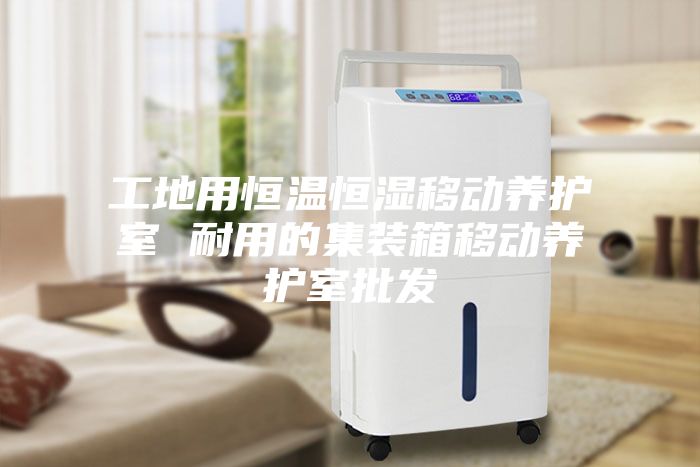 工地用恒溫恒濕移動養(yǎng)護室 耐用的集裝箱移動養(yǎng)護室批發(fā)