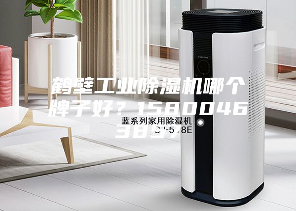 鶴壁工業除濕機哪個牌子好？15800463857