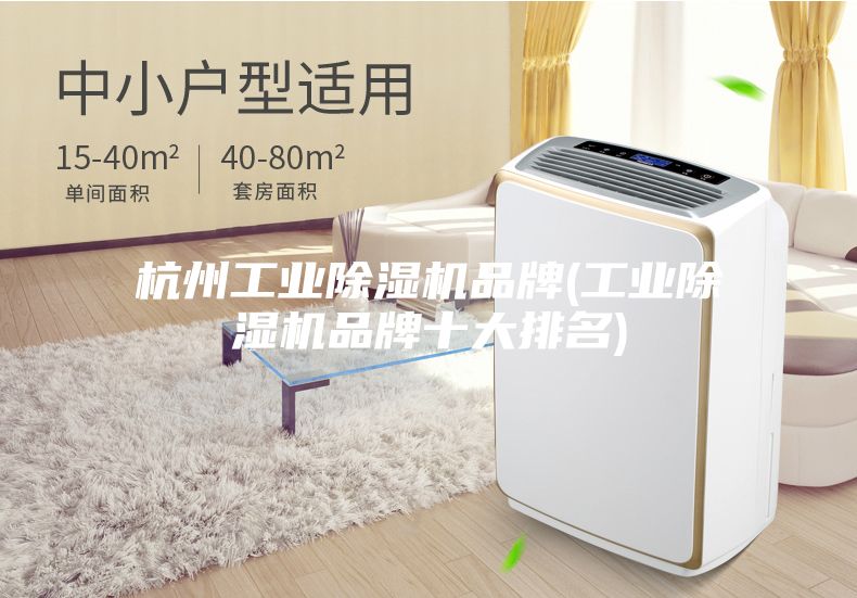 杭州工業除濕機品牌(工業除濕機品牌十大排名)