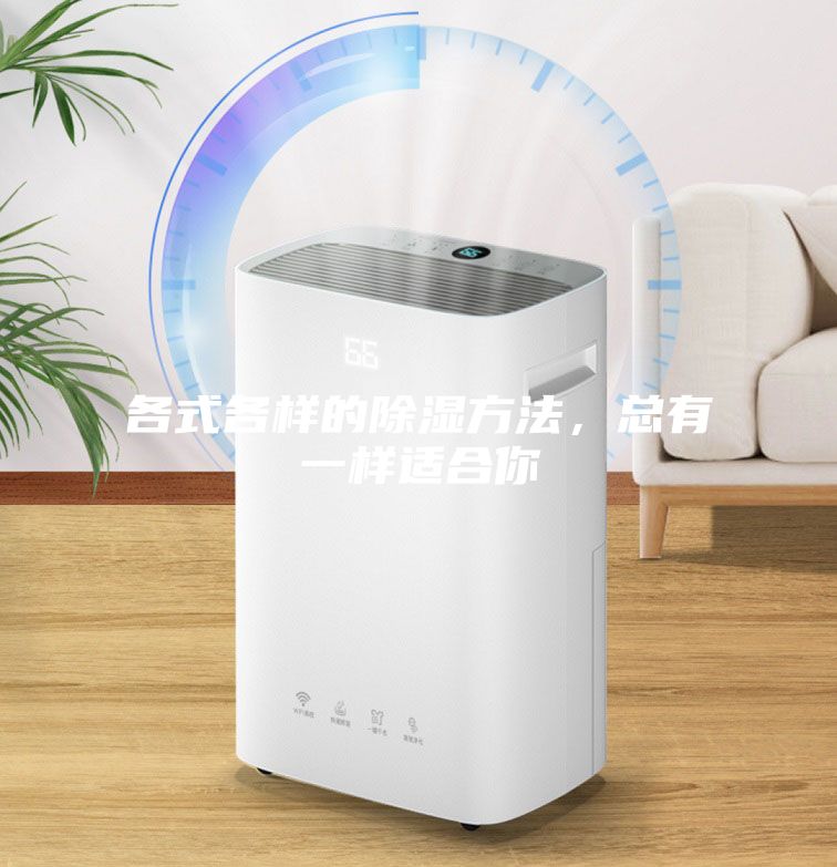 各式各樣的除濕方法，總有一樣適合你