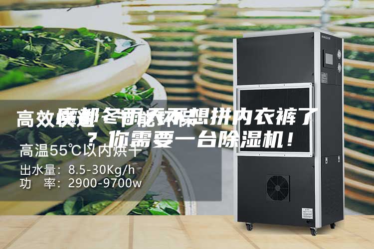 魔都冬雨天不想拼內衣褲了？你需要一臺除濕機！