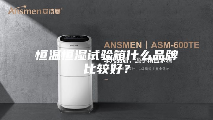 恒溫恒濕試驗箱什么品牌比較好？