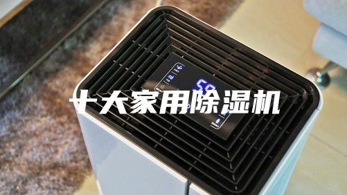 十大家用除濕機(jī)