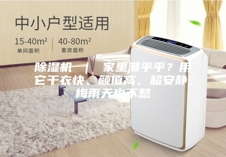除濕機 ｜ 家里潮乎乎？用它干衣快、顏值高、超安靜，梅雨天也不愁