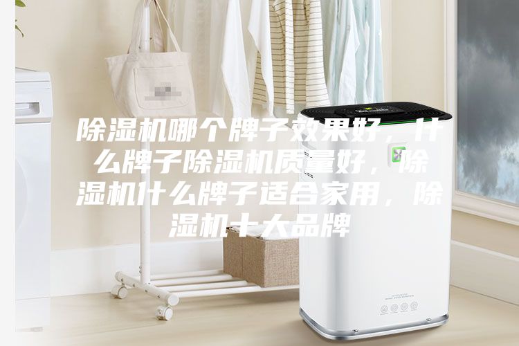除濕機(jī)哪個(gè)牌子效果好，什么牌子除濕機(jī)質(zhì)量好，除濕機(jī)什么牌子適合家用，除濕機(jī)十大品牌
