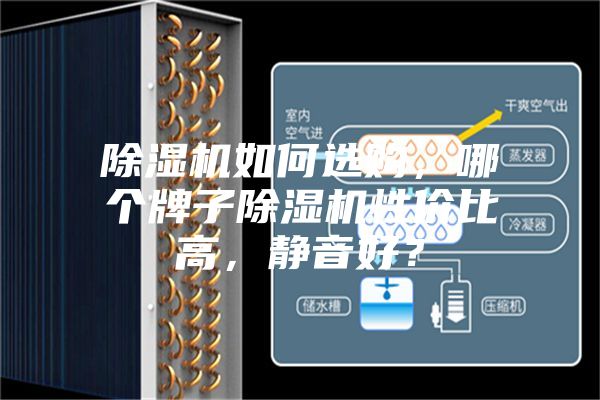 除濕機(jī)如何選購(gòu)，哪個(gè)牌子除濕機(jī)性價(jià)比高，靜音好？