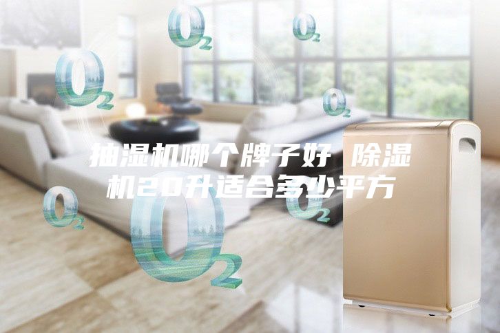 抽濕機哪個牌子好 除濕機20升適合多少平方