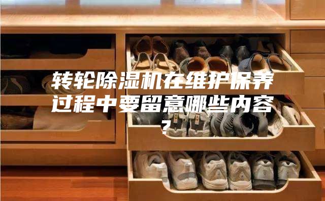 轉輪除濕機在維護保養過程中要留意哪些內容？