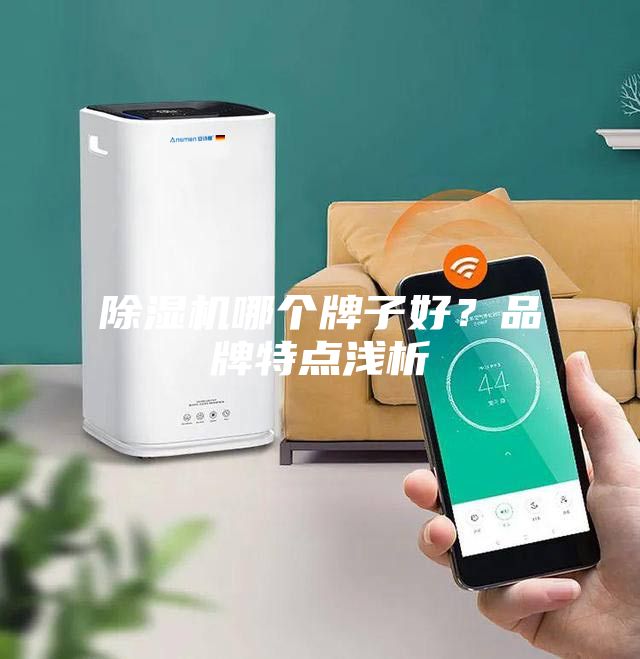除濕機哪個牌子好？品牌特點淺析