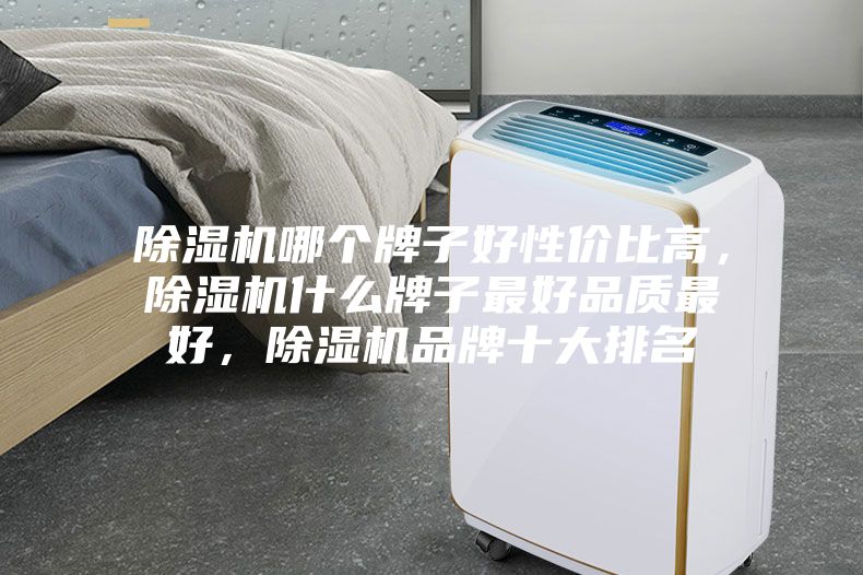 除濕機哪個牌子好性價比高，除濕機什么牌子最好品質最好，除濕機品牌十大排名