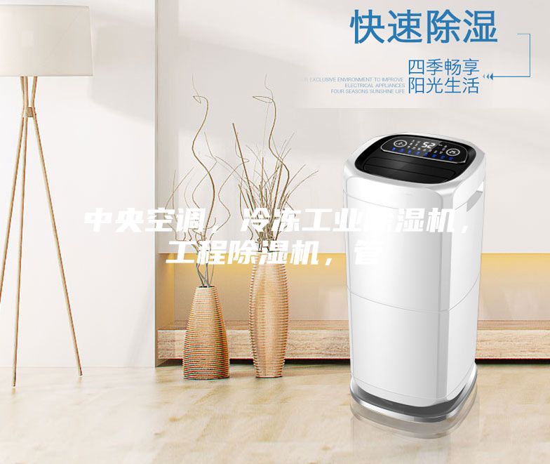 中央空調，冷凍工業除濕機，工程除濕機，管