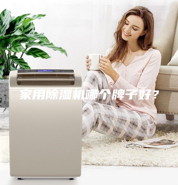 家用除濕機哪個牌子好？