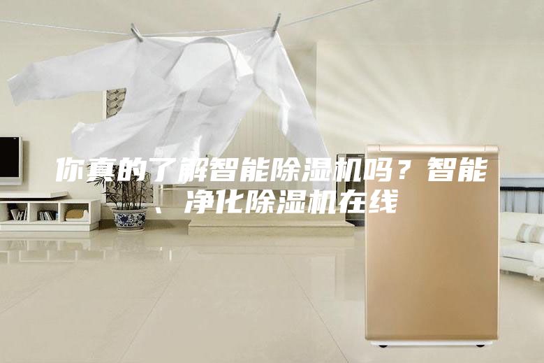 你真的了解智能除濕機嗎？智能、凈化除濕機在線