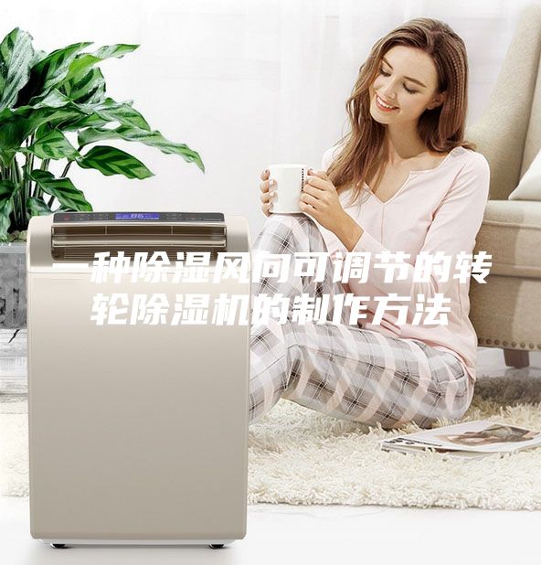 一種除濕風向可調節(jié)的轉輪除濕機的制作方法
