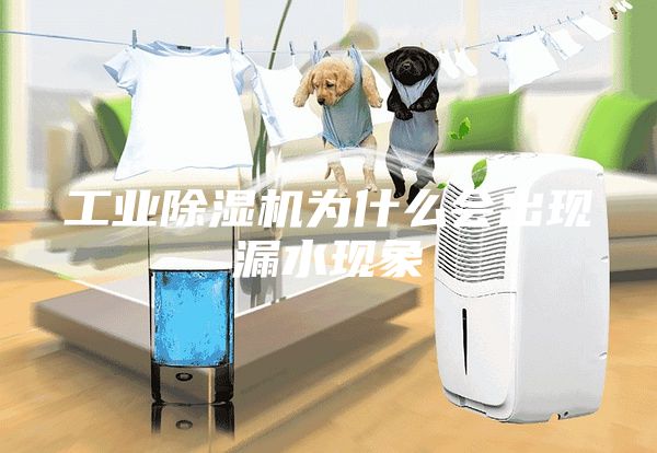 工業(yè)除濕機(jī)為什么會出現(xiàn)漏水現(xiàn)象