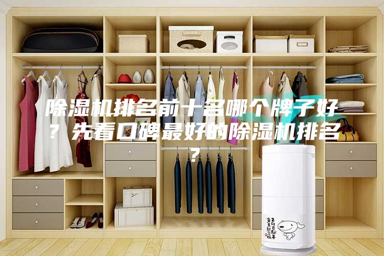 除濕機(jī)排名前十名哪個(gè)牌子好？先看口碑最好的除濕機(jī)排名？