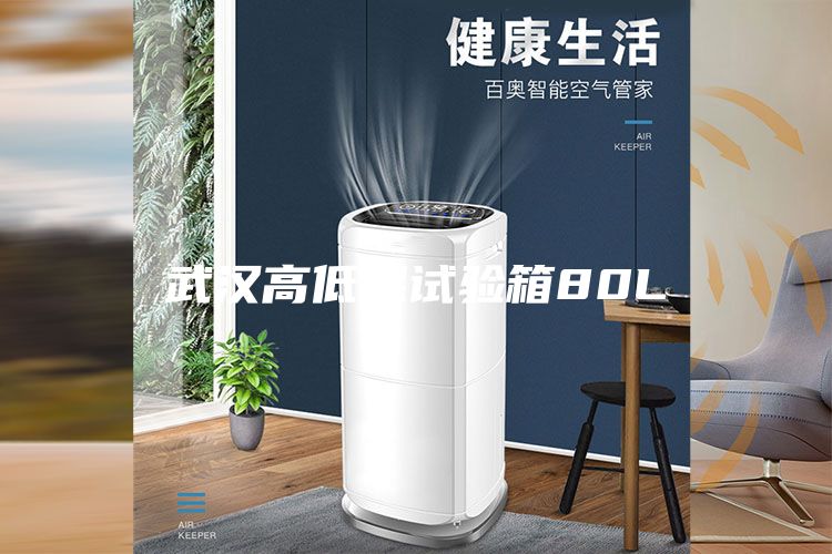 武漢高低溫試驗箱80L