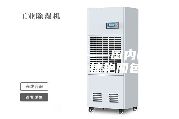 杭州除濕機(jī)——國內(nèi)除濕機(jī)行業(yè)的一抹艷麗色彩
