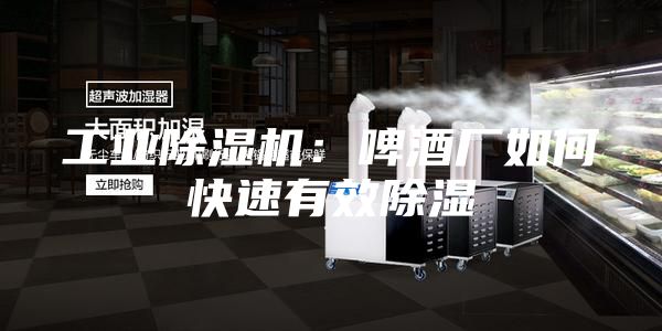 工業(yè)除濕機(jī)：啤酒廠如何快速有效除濕