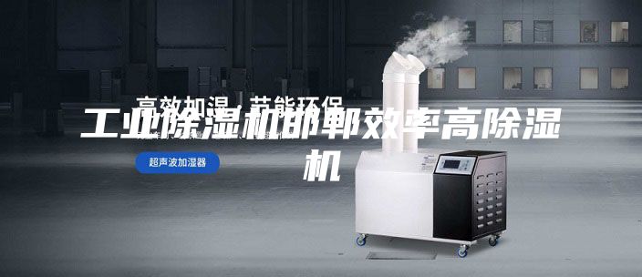 工業除濕機邯鄲效率高除濕機