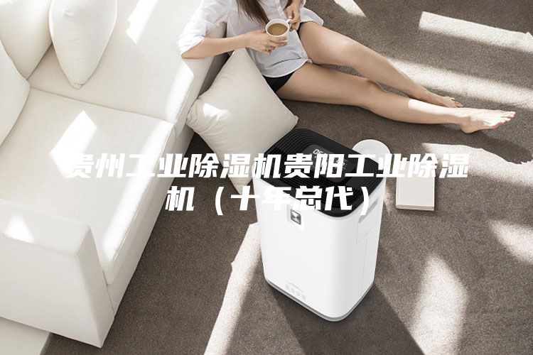 貴州工業除濕機貴陽工業除濕機（十年總代）