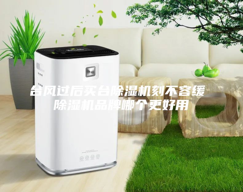 臺風過后買臺除濕機刻不容緩 除濕機品牌哪個更好用