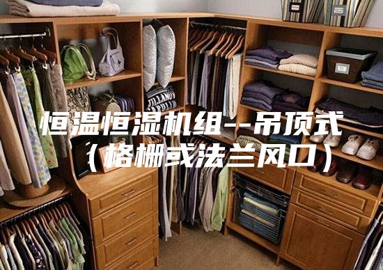 恒溫恒濕機組--吊頂式（格柵或法蘭風(fēng)口）