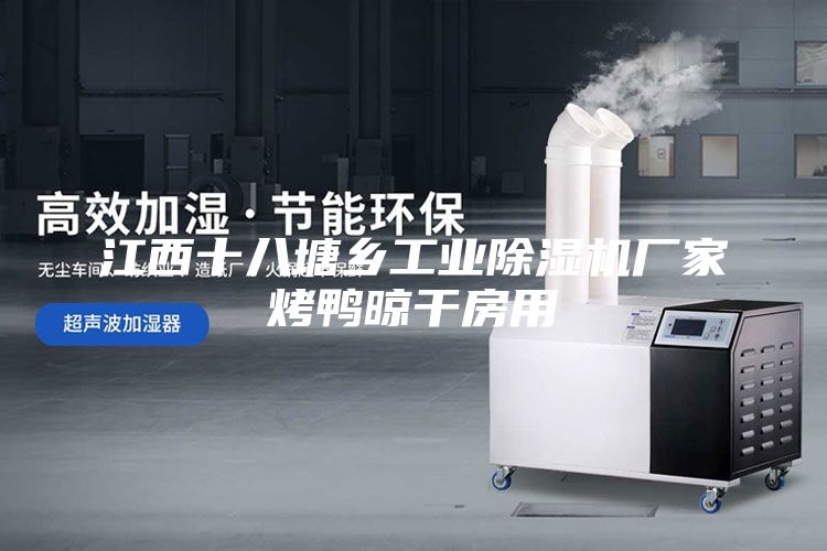 江西十八塘鄉(xiāng)工業(yè)除濕機廠家烤鴨晾干房用