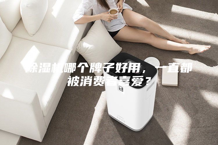 除濕機(jī)哪個(gè)牌子好用，一直都被消費(fèi)者喜愛(ài)？