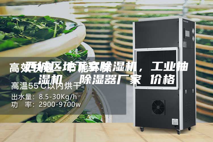 西城區(qū)地下室除濕機(jī)，工業(yè)抽濕機(jī)  除濕器廠家 價格