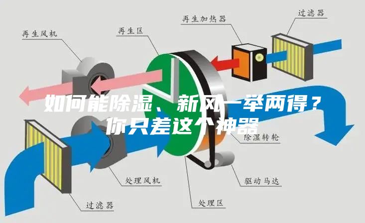 如何能除濕、新風一舉兩得？你只差這個神器