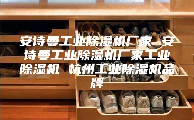 安詩(shī)曼工業(yè)除濕機(jī)廠家 安詩(shī)曼工業(yè)除濕機(jī)廠家工業(yè)除濕機(jī) 杭州工業(yè)除濕機(jī)品牌