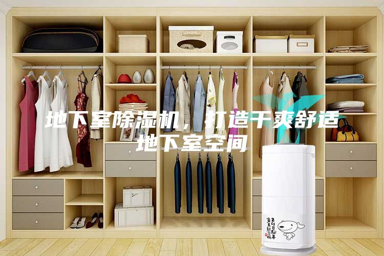 地下室除濕機，打造干爽舒適地下室空間