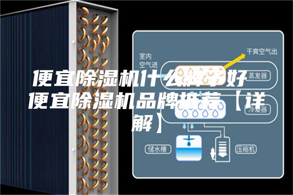 便宜除濕機(jī)什么牌子好 便宜除濕機(jī)品牌推薦【詳解】