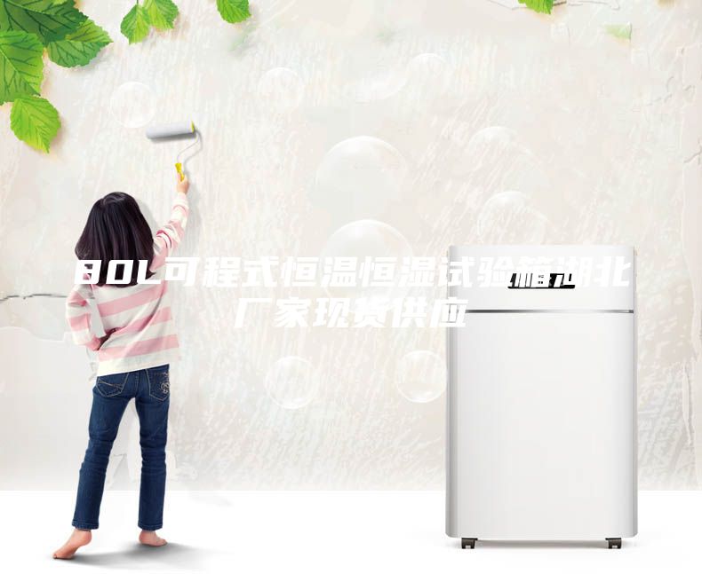80L可程式恒溫恒濕試驗箱湖北廠家現貨供應