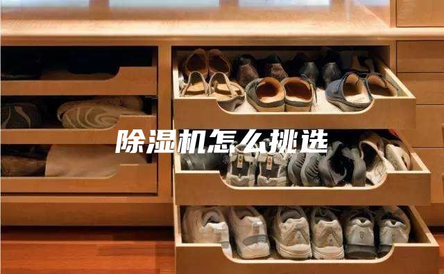 除濕機(jī)怎么挑選