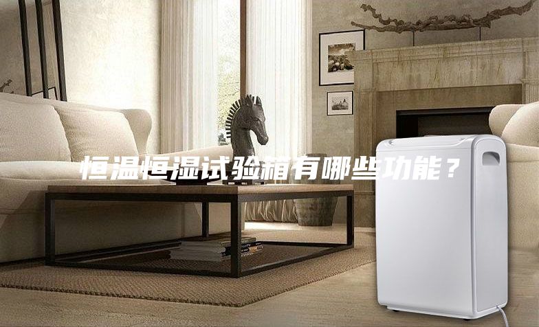 恒溫恒濕試驗箱有哪些功能？