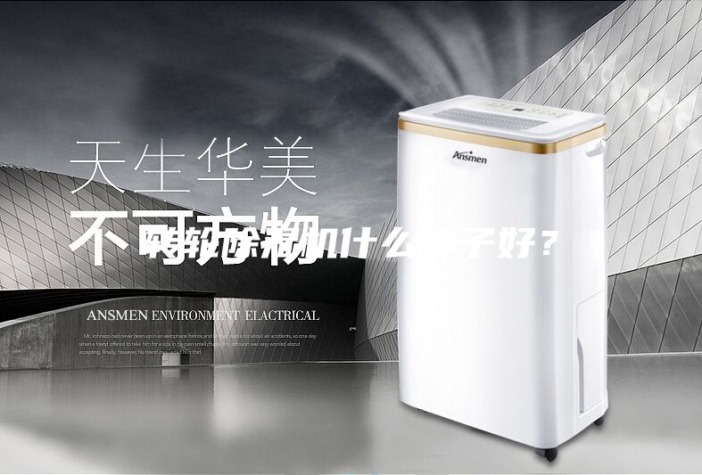 轉(zhuǎn)輪除濕機(jī)什么牌子好？