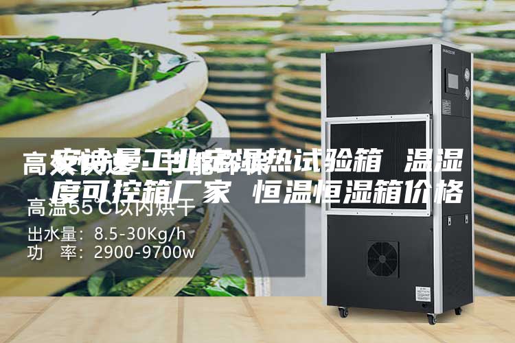 安詩曼工業定濕熱試驗箱 溫濕度可控箱廠家 恒溫恒濕箱價格
