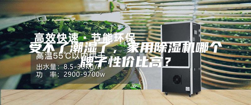 受不了潮濕了，家用除濕機哪個牌子性價比高？