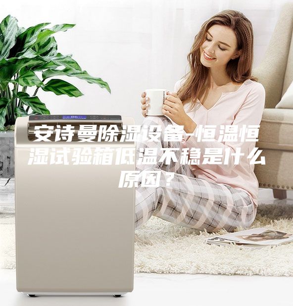 安詩曼除濕設備-恒溫恒濕試驗箱低溫不穩是什么原因？