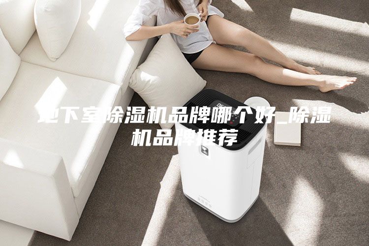 地下室除濕機品牌哪個好_除濕機品牌推薦