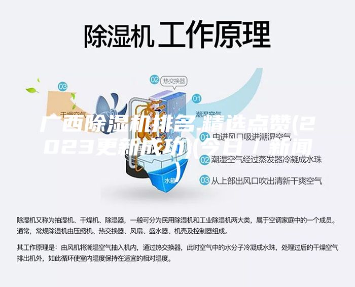 廣西除濕機(jī)排名.精選點(diǎn)贊(2023更新成功)(今日／新聞)