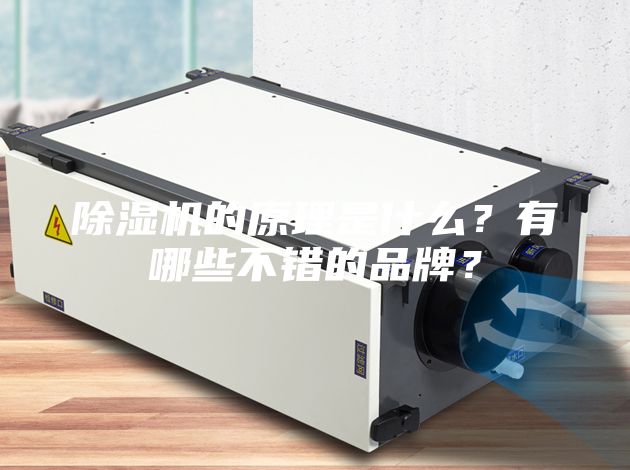 除濕機的原理是什么？有哪些不錯的品牌？